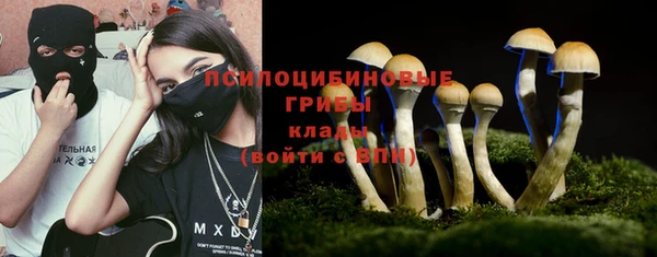 первитин Богданович