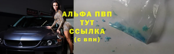 первитин Богданович