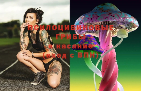 a pvp Богородск