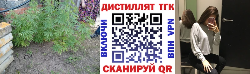 ТГК Wax  Казань 