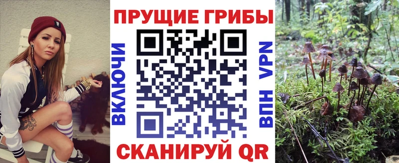 где купить наркоту  Казань  Псилоцибиновые грибы MAGIC MUSHROOMS 